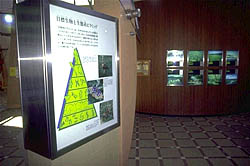 ���R�̖L������������
