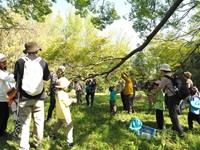 定例自然かんさつ会