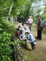 生きもの調べ方講座「変形菌」