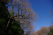 �k�{�s�V�R�L�O���G�h�q�K���U�N���@�B�e2012�N1��5��