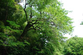 �k�{�s�V�R�L�O���G�h�q�K���U�N���@�B�e2012�N5��10��