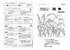 ニュースレター2008年春号P1、P4(PDF・167KB)
