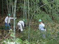 里山ボランティアのテーマは、竹林の管理