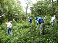「里山ボランティア」のひとこま。雑木林での作業風景です。