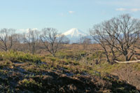荒川河川敷から富士山