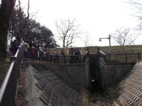 公園の最下流、城ヶ谷樋管です。