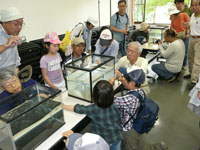 生きもの講座「県の魚　ムサシトミヨ」続いて定例自然かんさつ会「公園内の魚」の様子