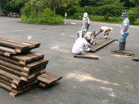 園内管理ボランティアで木道作り