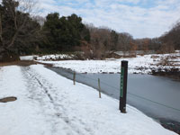 雪景色かえる池