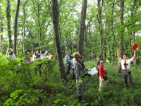 雑木林の自然調べ方実習・植生調査