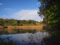 高尾の池と虹