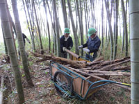 園内管理作業・竹林の整備