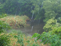 台風・大雨・八ツ橋の池