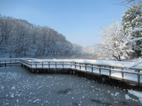 八ツ橋雪景色