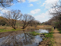 湿地の風景