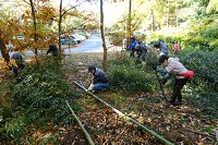 園内管理作業・朝もやの湿地