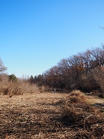 ���n�̏W��