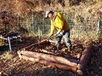 �J���g���[�w�b�W