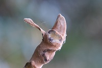 �I�j�O���~�~��Ɨt��