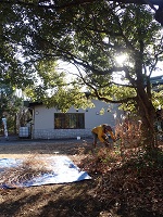 �Z���^�[�O�N�X�m�L���ӂ̑�����