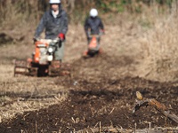 耕耘作業とジョウビタキ