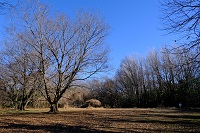 �~�̕W��16�Ԃ̑��͂�