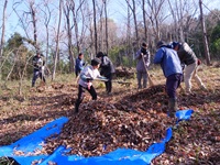 �������̂���������