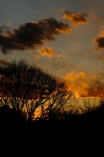 �[���E�~������Ђƌ�