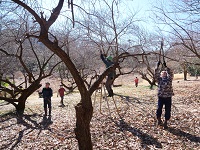 �����Ǘ��{�����e�B�A