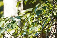 �L�N�C�^�_�L