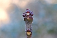 �S���Y�C�~��