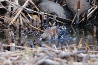 �V��������