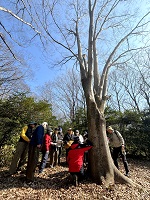 �������̒��ו��u���u�n�ߗށv