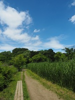 青空