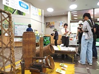 自然に親しむイベントデー「桑とカイコの日」