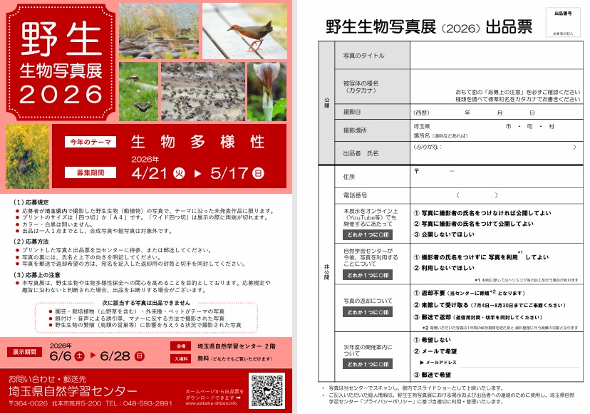 �쐶�����ʐ^�W2025�`���V�E�o�i�[�iPDF�t�@�C���j