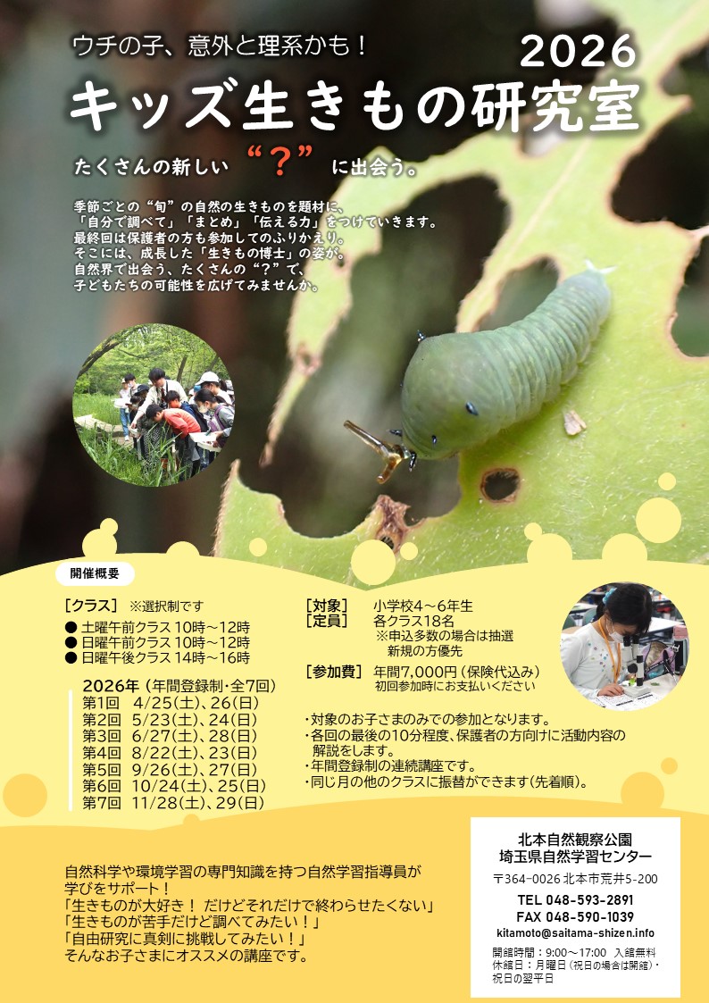 �L�b�Y�������̌�����2026�`���V�iPDF�t�@�C���E804KB�j