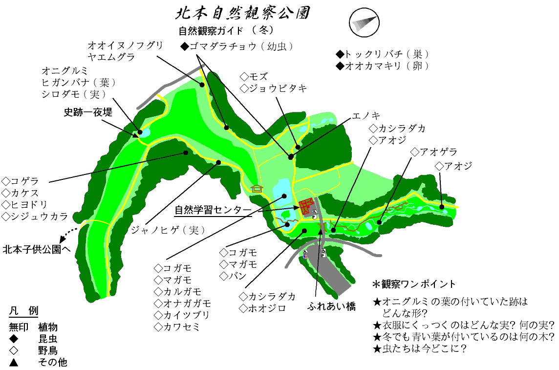 ゴミ カレンダー 市 北本 北本市 ごみ出しガイド付カレンダー