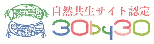 ���R�����T�C�g���S�i���j