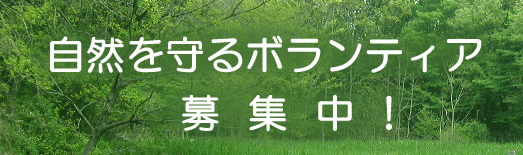 �{�����e�B�A���W�ւ̃����N